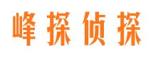 酉阳外遇出轨调查取证